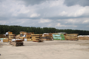 Auction Timber Stocks